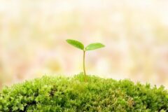 ものづくりが好きな気持ちを活かしませんか？木工所での家具職人募集中！